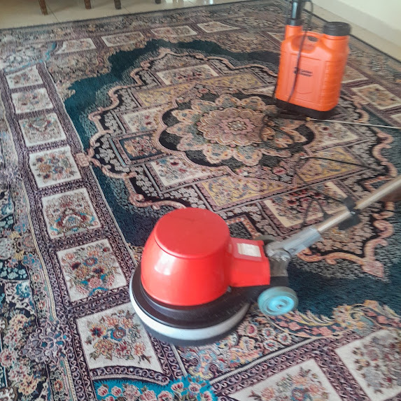 Carpet after being cleaned durbanville