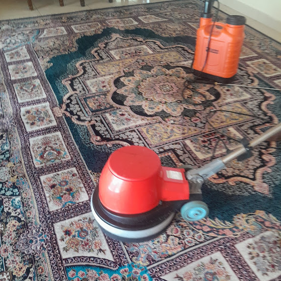 Carpet after being cleaned durbanville