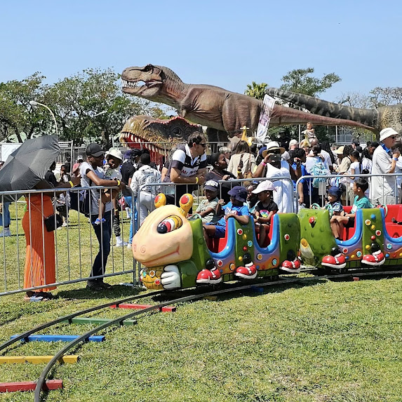 Children and Adults Playing in Wynberg Park, Things to do Southern Suburbs.