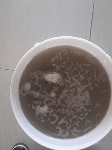 Dirty Water After Couch Cleaning