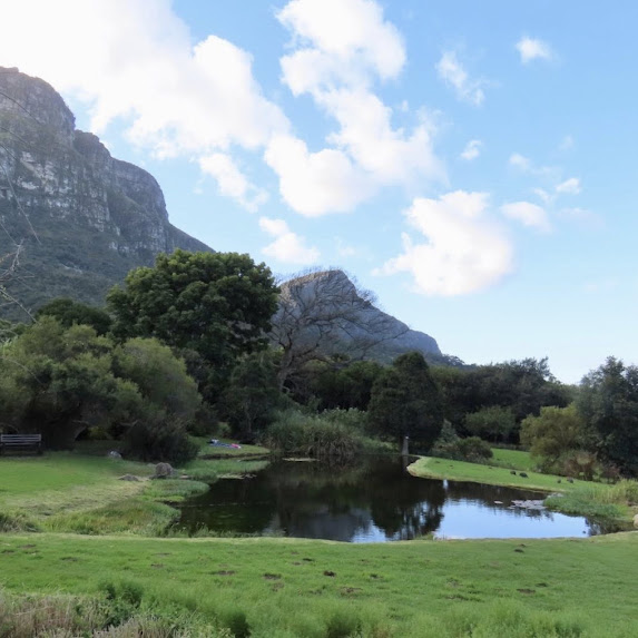 Kirstenbosch National Botanical Garden Southern Suburbs