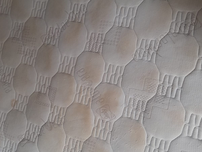 Mattress Cleaning Before photo