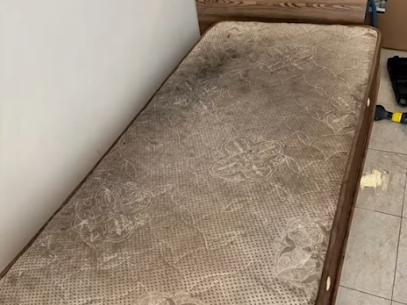 Very Dirty Mattress Before Cleaning Photo